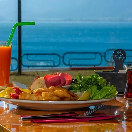 Отель Tema 242 3*