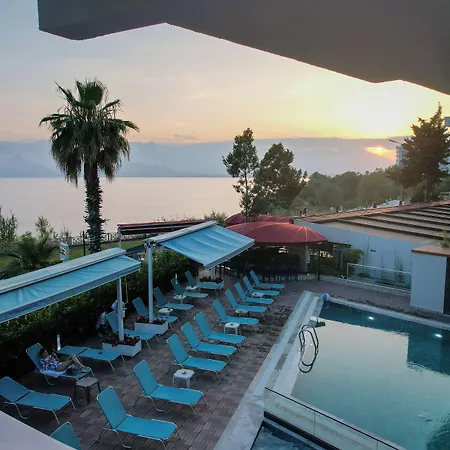 Tema 242 Отель 3*