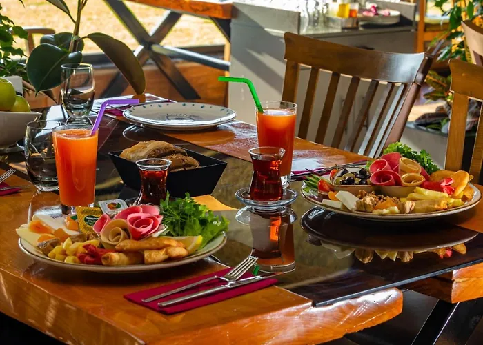 Tema 242 Hotel Antalia