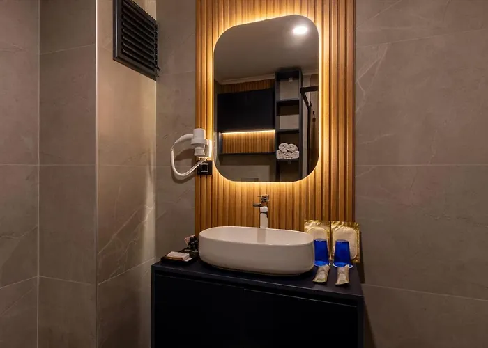 Tema 242 Hotel 3*
