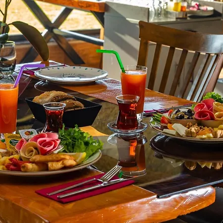 Tema 242 Hotel Antalia