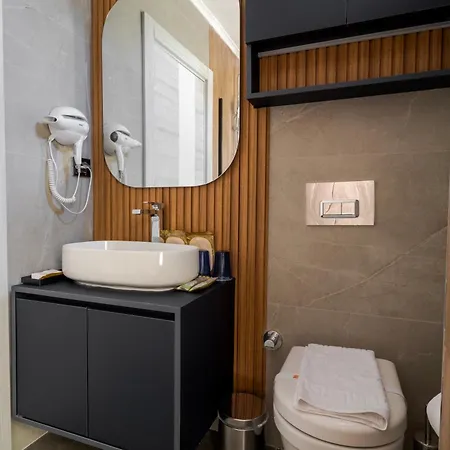 Hotel Tema 242